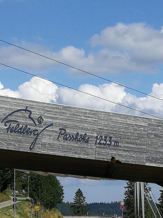 Residenz Grafenmatt, Ferienwohnung Feldberg فيلدبرج المظهر الخارجي الصورة